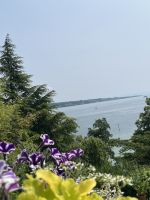 Bodenseerundreise 9.06.25 Insel Mainau - Blick auf dem Bodensee