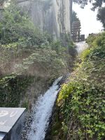 Bodenseerundreise 10.06.25   Rheinfall Schaffhausen