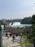 Bodenseerundreise 10.06.25   Rheinfall Schaffhausen - schade, hier könnte verweilt werden