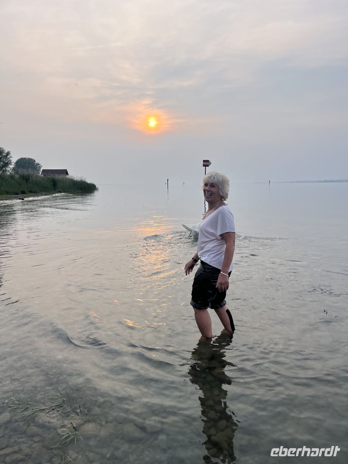Bodenseerundreise 10.06.25   Stein am Rhein- Sonnenspiegelung in Bregenz