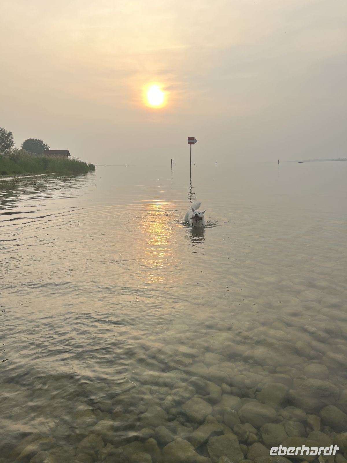 Bodenseerundreise 10.06.25   Stein am Rhein- Sonnenspiegelung in Bregenz