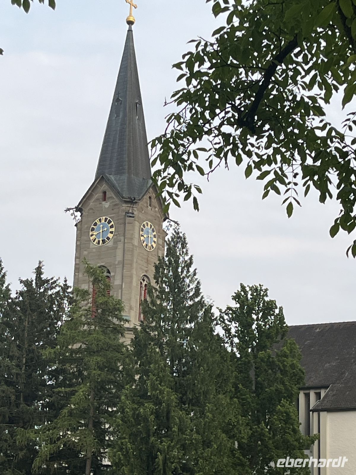 Bodenseerundreise 10.06.25   Abendrunde in Bregenz