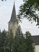 Bodenseerundreise 10.06.25   Abendrunde in Bregenz