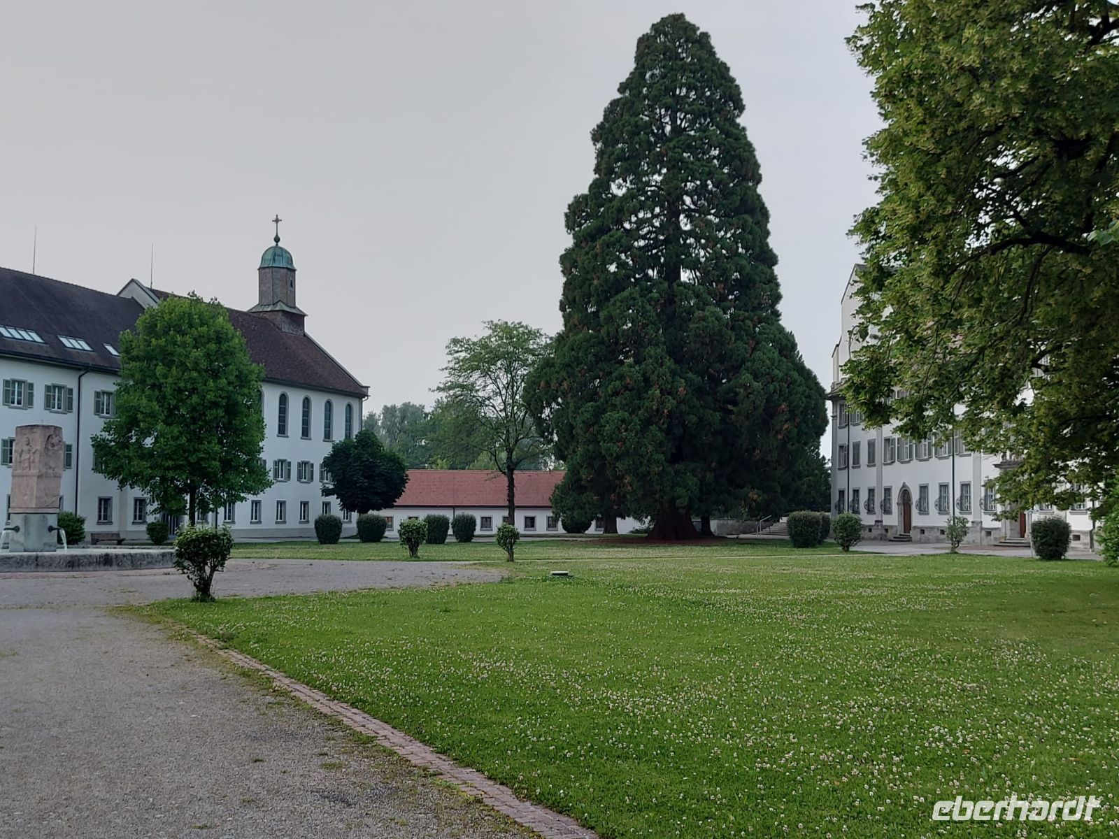 Bodenseerundreise 10.06.25   Abendrunde in Bregenz - Abtei- Zisterzienserkloster