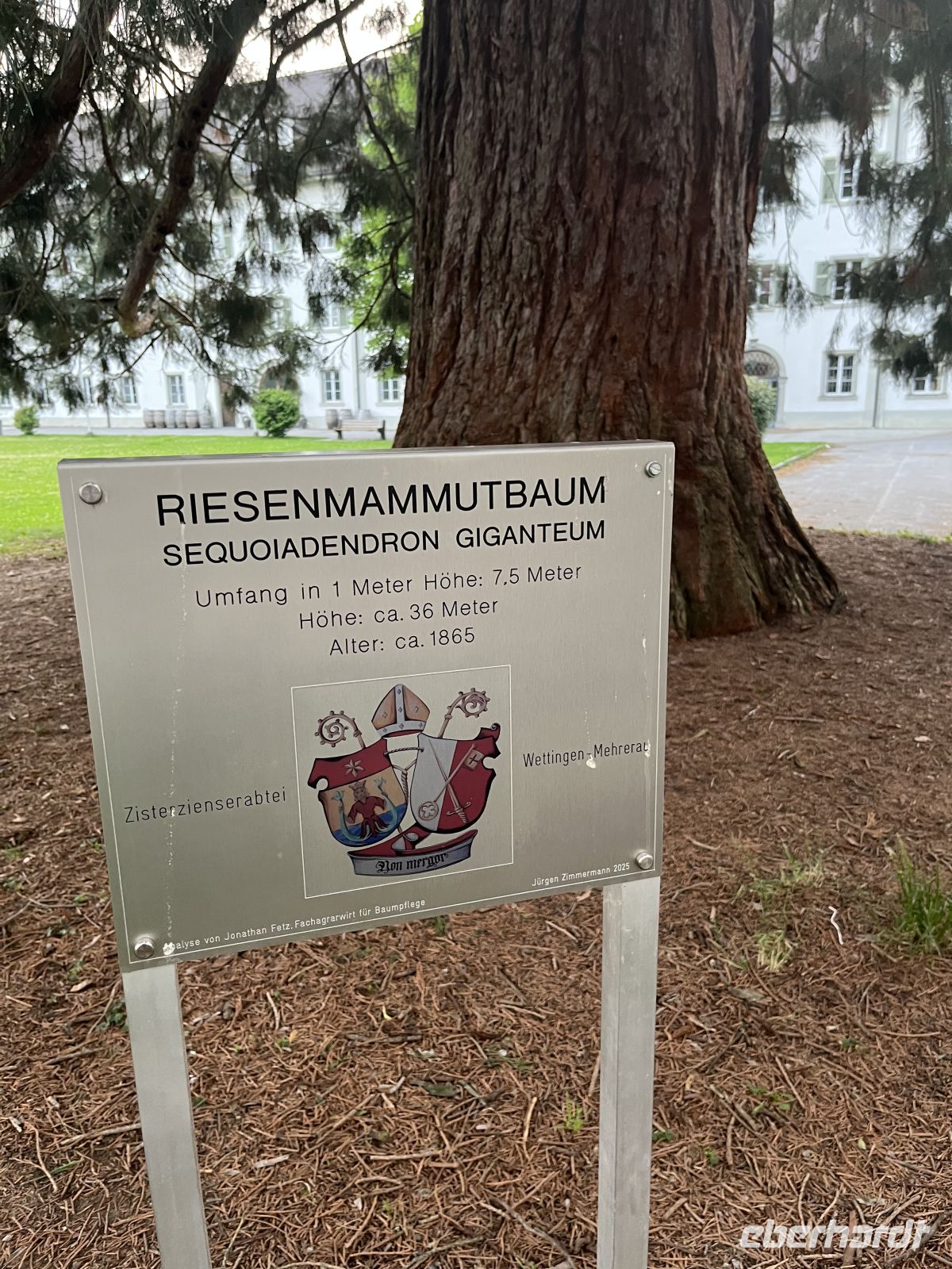 Bodenseerundreise 10.06.25   Abendrunde in Bregenz - Abtei- Zisterzienserkloster