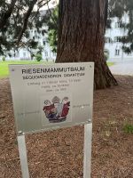 Bodenseerundreise 10.06.25   Abendrunde in Bregenz - Abtei- Zisterzienserkloster