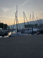 Bodenseerundreise 11.06.25 Hafen in Bregenz