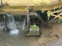 Mühlrad in Saarburg