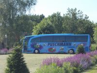 DSCN0114.JP   unser schöner Bus