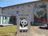 DSCN0117.JPG   am Königsstuhl