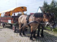 DSCN0158.JPG  die warten schon auf uns