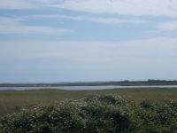 DSCN0162.JPG   Hiddensee