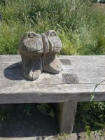 DSCN0181.JPG   wer sitzt da ?