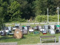 DSCN0188.JPG  so geht Transport zur Unterkunft