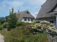 DSCN0204.JPG   Reetdächer auf dem Darß