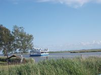 DSCN0218.JPG   auf dem Bodden
