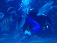 DSCN0265.JPG   Fütterung im Fischbecken