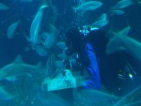 DSCN0268.JPG   Taucher im Einsatz