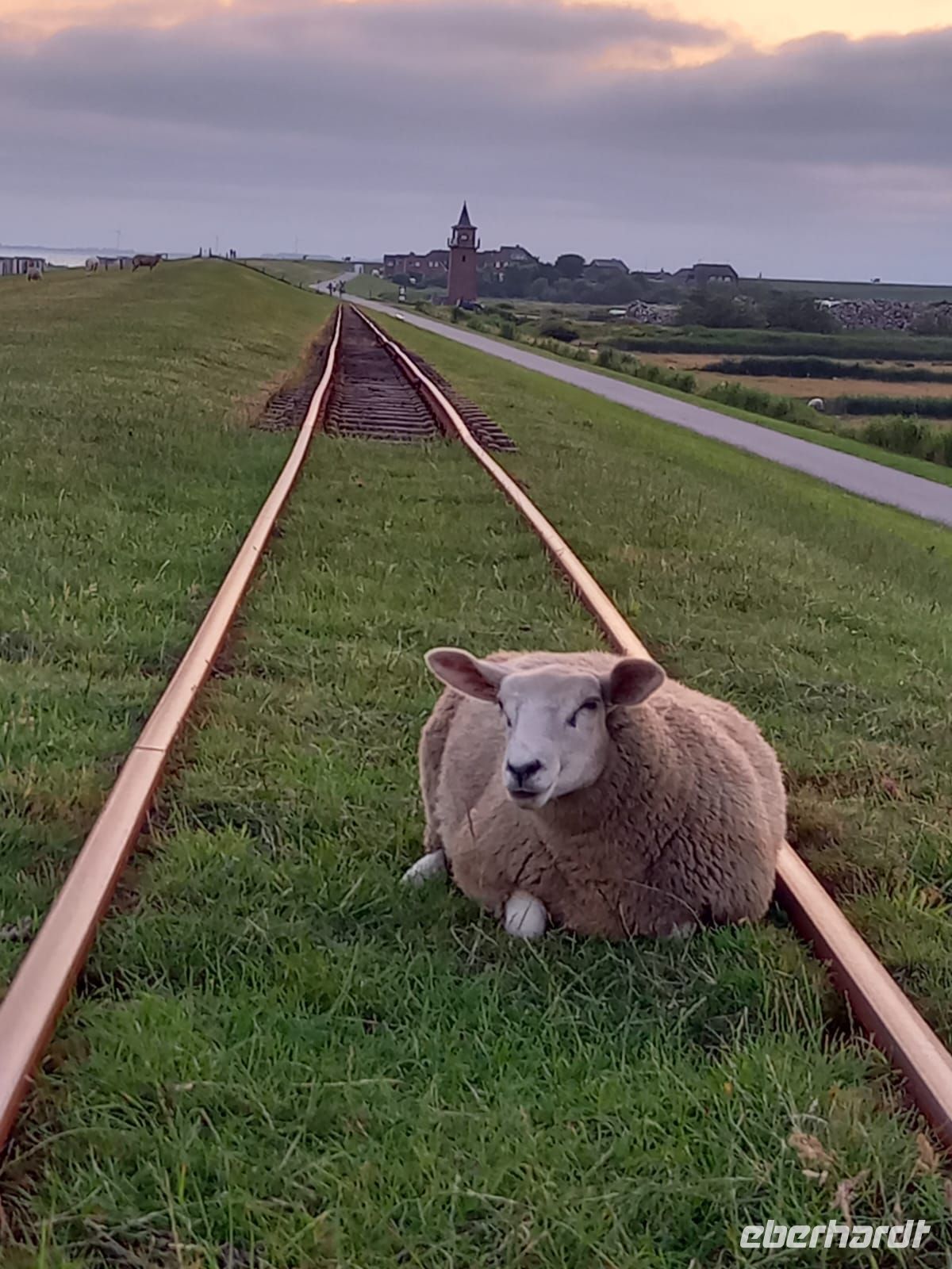 Das Schaf auf der Lorenbahn darf nicht fehlen