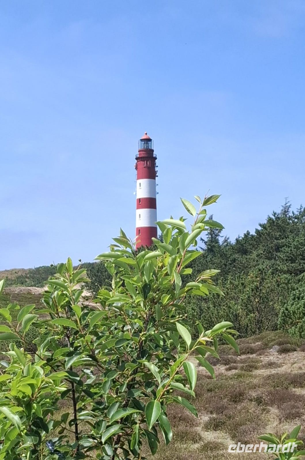 der Leuchtturm von Amrum