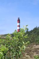 der Leuchtturm von Amrum