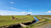 Hallig Hooge