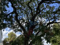 am Saarbrücker Schloss