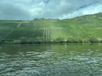 Blick aus dem Kabinenfenster - Mosel