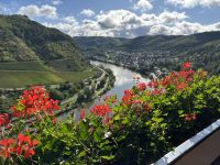 Blick auf die Mosel