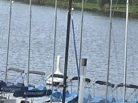 Der weiße Schwan von Münster (Tretboot)