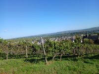 Blick aus dem Winzerexpress