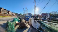 Neuharlingersiel - Hafen