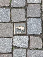 2025_Schiff_MS-P_Hameln - Sie sind überall