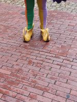 2025_Schiff_MS-P_Hameln - Rattenfängers Schuhe