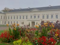 2025_Schiff_MS-P_Hannover-Herrenhausen