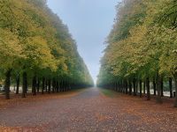 2025_Schiff_MS-P_Hannover-Herrenhausen Schloßalle