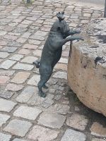 2025_Schiff_MS-P_Brandenburg - Lorio-Waldmöps