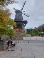 2025_Schiff_MS-P_Potsdam - Historische Mühle