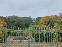 2025_Schiff_MS-P_Potsdam - Blickachse Ruinenberg