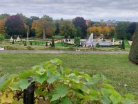 2025_Schiff_MS-P_Potsdam - Schloß Sanssouci - Gartenblick