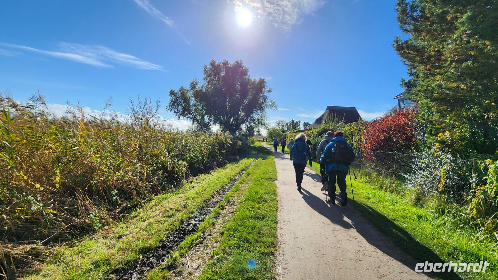 Wanderung von Ahrenshoop nach Wustrow