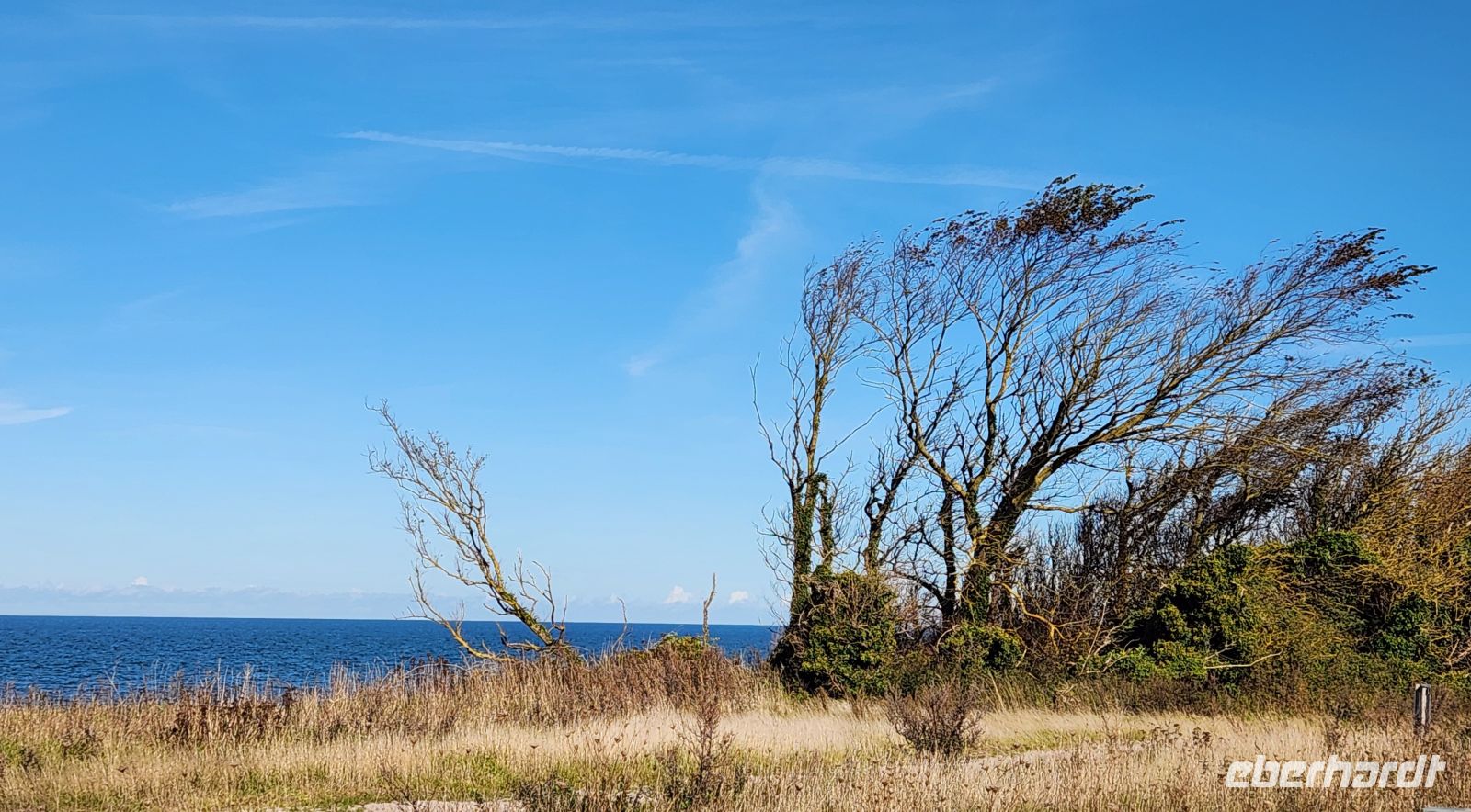 Wanderung von Wustrow nach Ahrenshoop - Steilküste