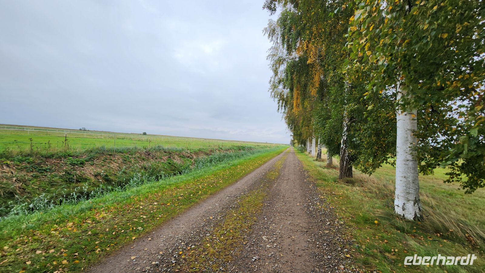 Spaziergang zum Hafen von Dierhagen