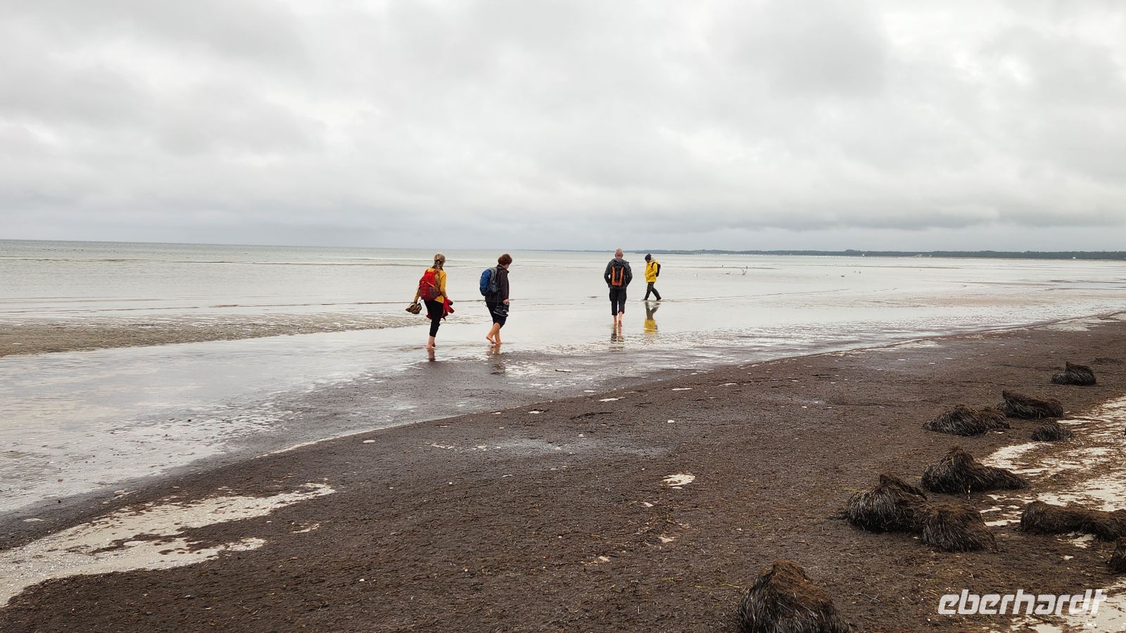 Wanderung am Strand von Prerow