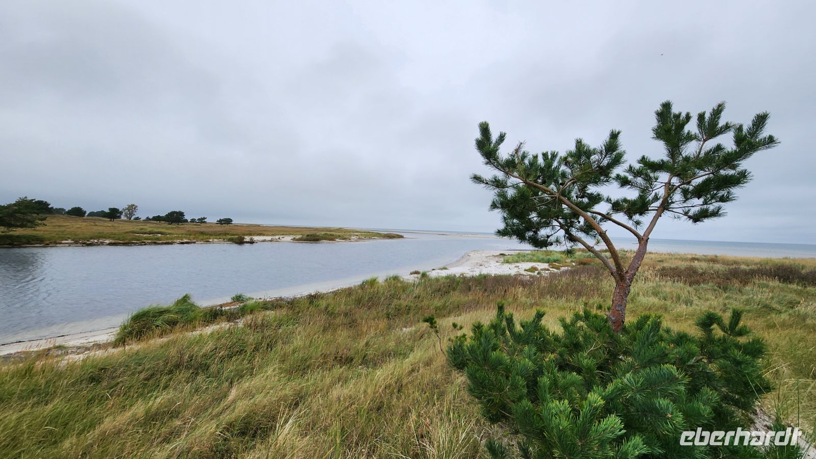 Naturschutzgebiet am Darßer Ort