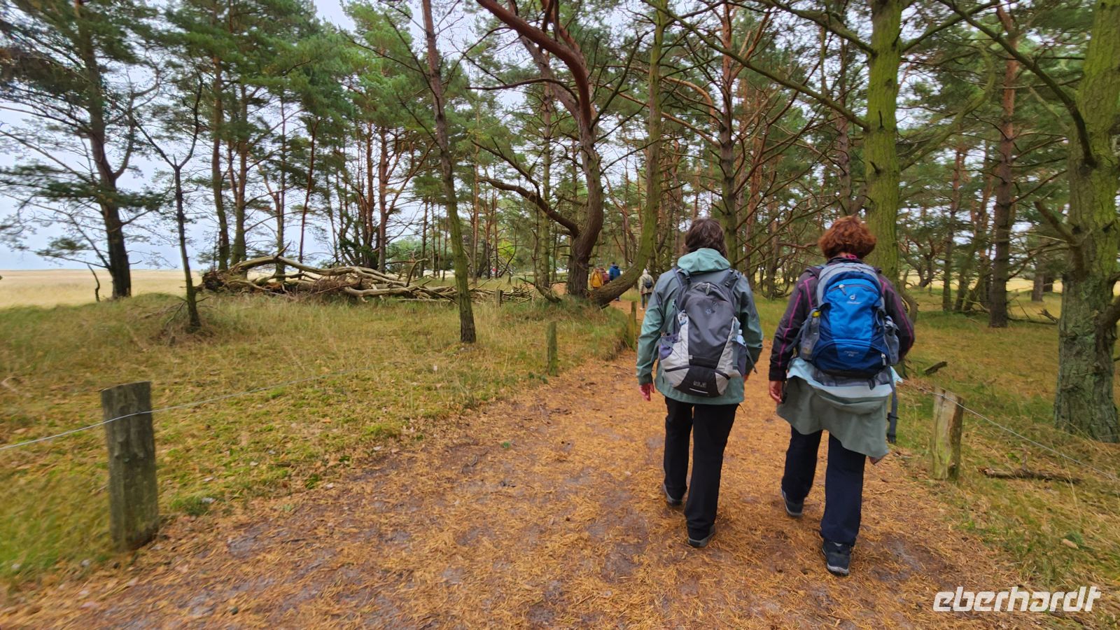 Wanderung - Darßer Ort