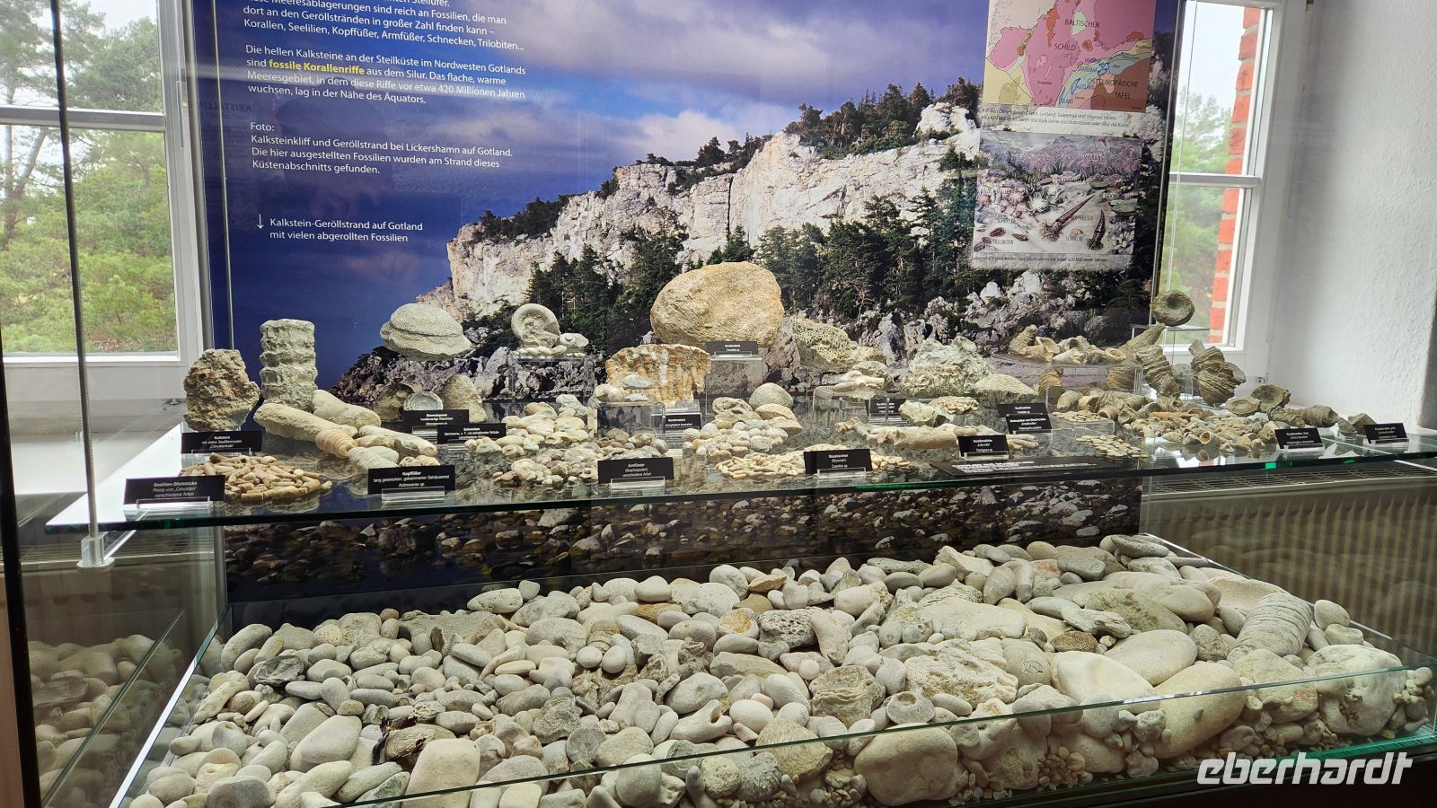 Natureum - Darßer Ort