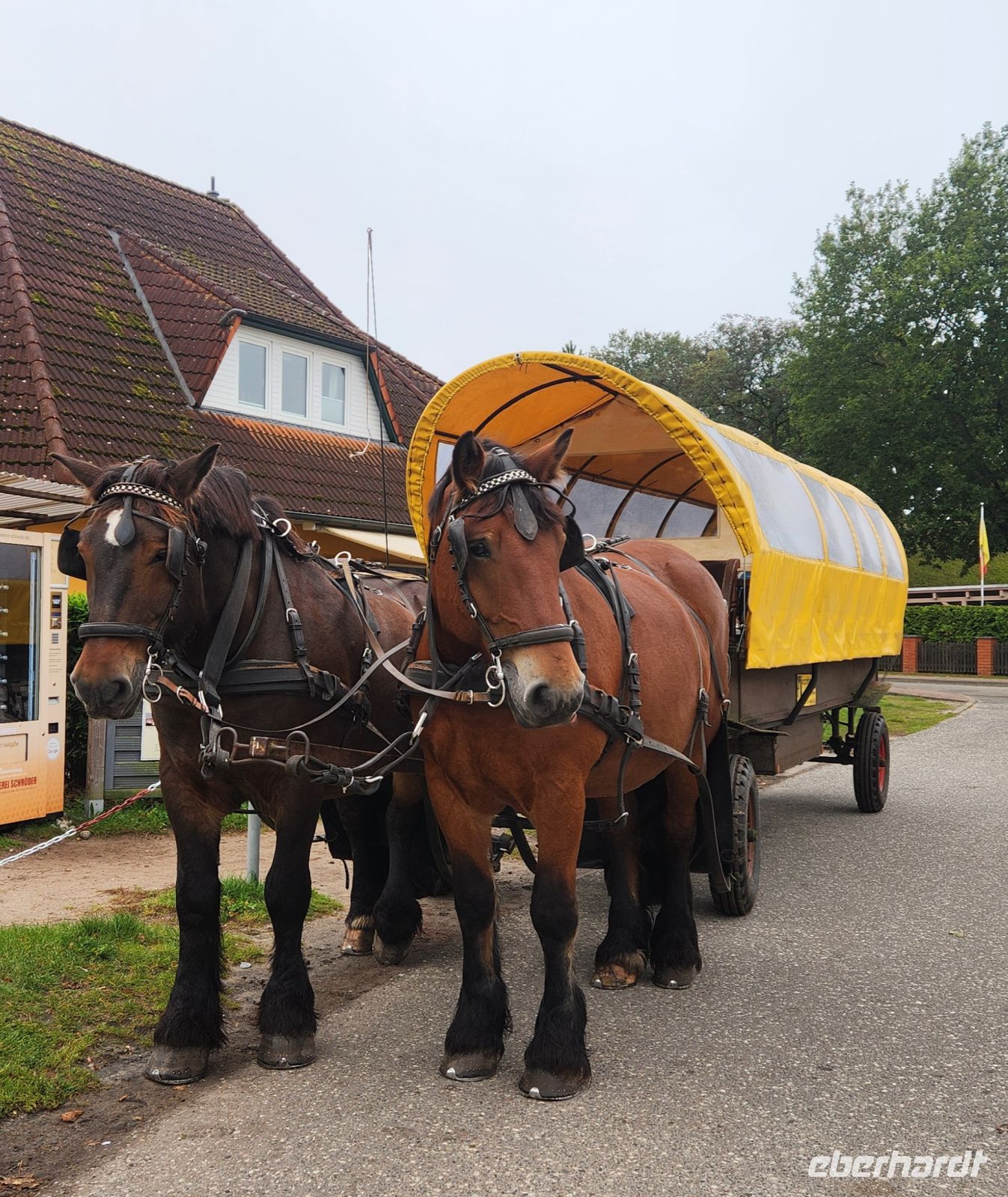Kutschfahrt ab Prerow zum Leuchtturm