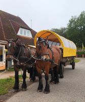 Kutschfahrt ab Prerow zum Leuchtturm