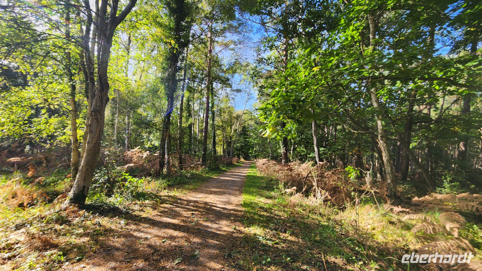 Wanderung von Wieck nach Born